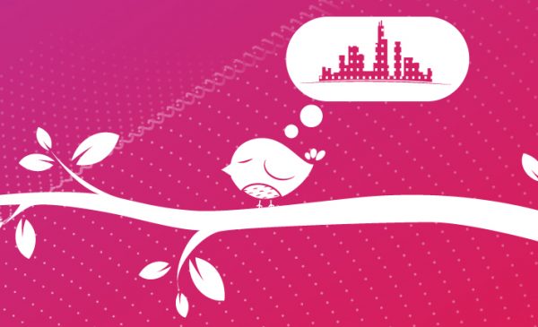 Illustration of a bird on a branch thinking about the city of Chicago with the words 