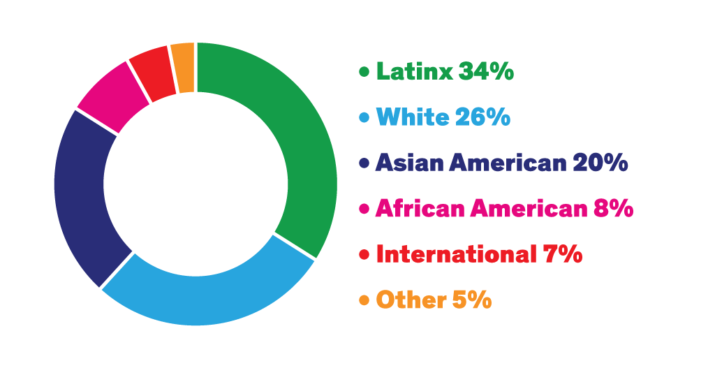 Graph with various colors showing Latinx 34% White 26% Asian American 20% African American 8% International 7% Other 5%