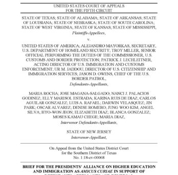 First page of the amicus brief court document 