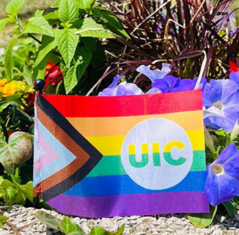 A plot of flowers with a UIC LGBTQ pride flag in front. 