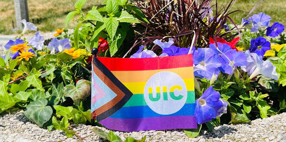 A plot of flowers with a UIC LGBTQ pride flag in front.