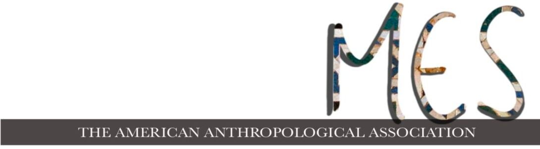 The American Anthropological Association logo